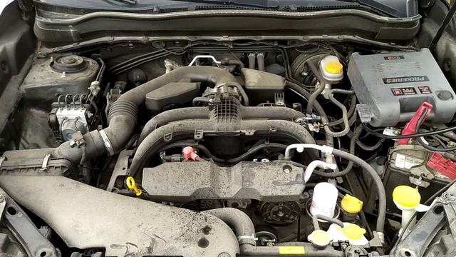 Subaru forester (SJ) 2017 fb25 пробег 83т.миль смотреть онлайн