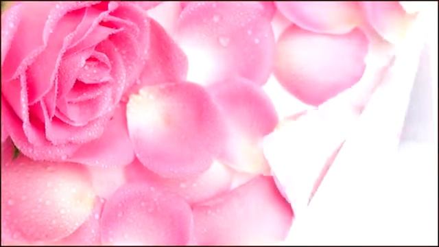 Ode a la Rose - Poésie смотреть онлайн