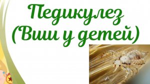 ВНИМАНИЕ!!! ВШИ у детей.Педикулез.Как избавиться от вшей.