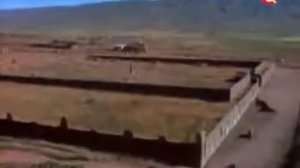 Происхождения человека