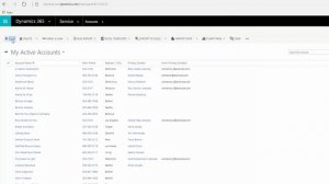 Getting around in the Dynamics 365 for Customer Service app