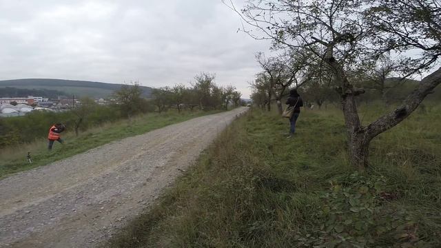 Befarolt az utolsó ralis videónk! смотреть онлайн