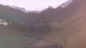 Вас вызывает Таймыр! 2012 год