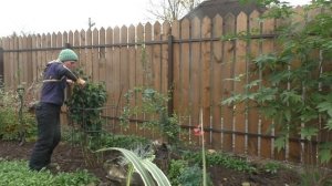 Кустодержатель из металла  "Базис". Обзор и установка (Новинка)