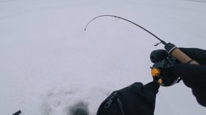 Лёд трещит под ногами!!! Куда бежать?!! Ловля окуня на балансир. Рыбалка 2021. Практик 6 plus.