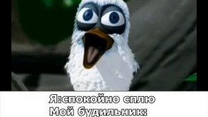 Белая птица кричит тик ток мем