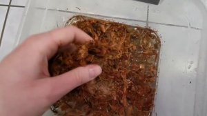 Кокосовый субстрат крупной фракции. Кокосовая щепа. Кокосовые чипсы