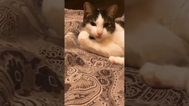 кто не понял он ногти грызёт смотреть онлайн