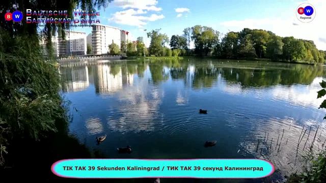 Kaliningrad 39 Sekunden 2023-11