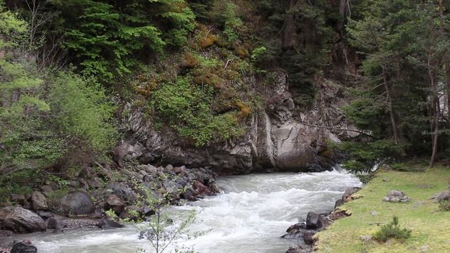 AmbientNatureAtmosphere Звукотерапия Пение птиц исцеление от депрессии, Нейтрализация негатива
