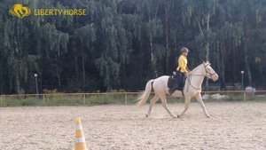 Категория Верховая езда. 1 уровень