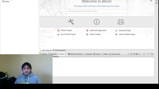 Demo Jboss Forge смотреть онлайн