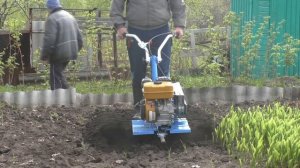 Работа мотоблока "Нева" и МТД Т- 240.