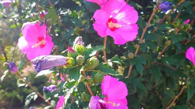 Рио-де-Ессентуки. Самая высокая статуя Христа в России смотреть онлайн