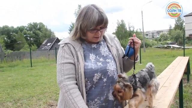 Новые площадки для выгула собак в Поварово и Смирновке