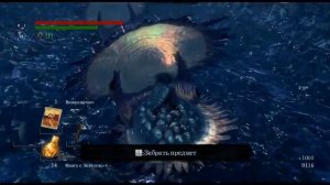 Мерцающий титанит и камень очищения | Фарм в игре Dark Souls