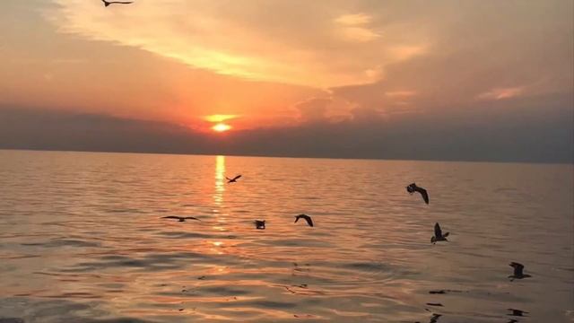 Стих: судьба у каждого своя смотреть онлайн