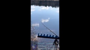 Рыбалка. Самый лучший момент.