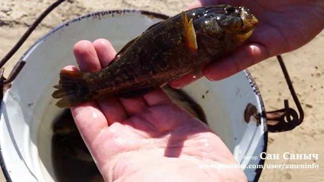 Пол ведра ротанов смотреть онлайн