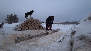 БЕНЗОПИЛА УРАЛ 2 | НОВАЯ ЦЕПЬ ОРЕГОН | ПИЛИТ КАК НОЖОМ ПО МАСЛУ