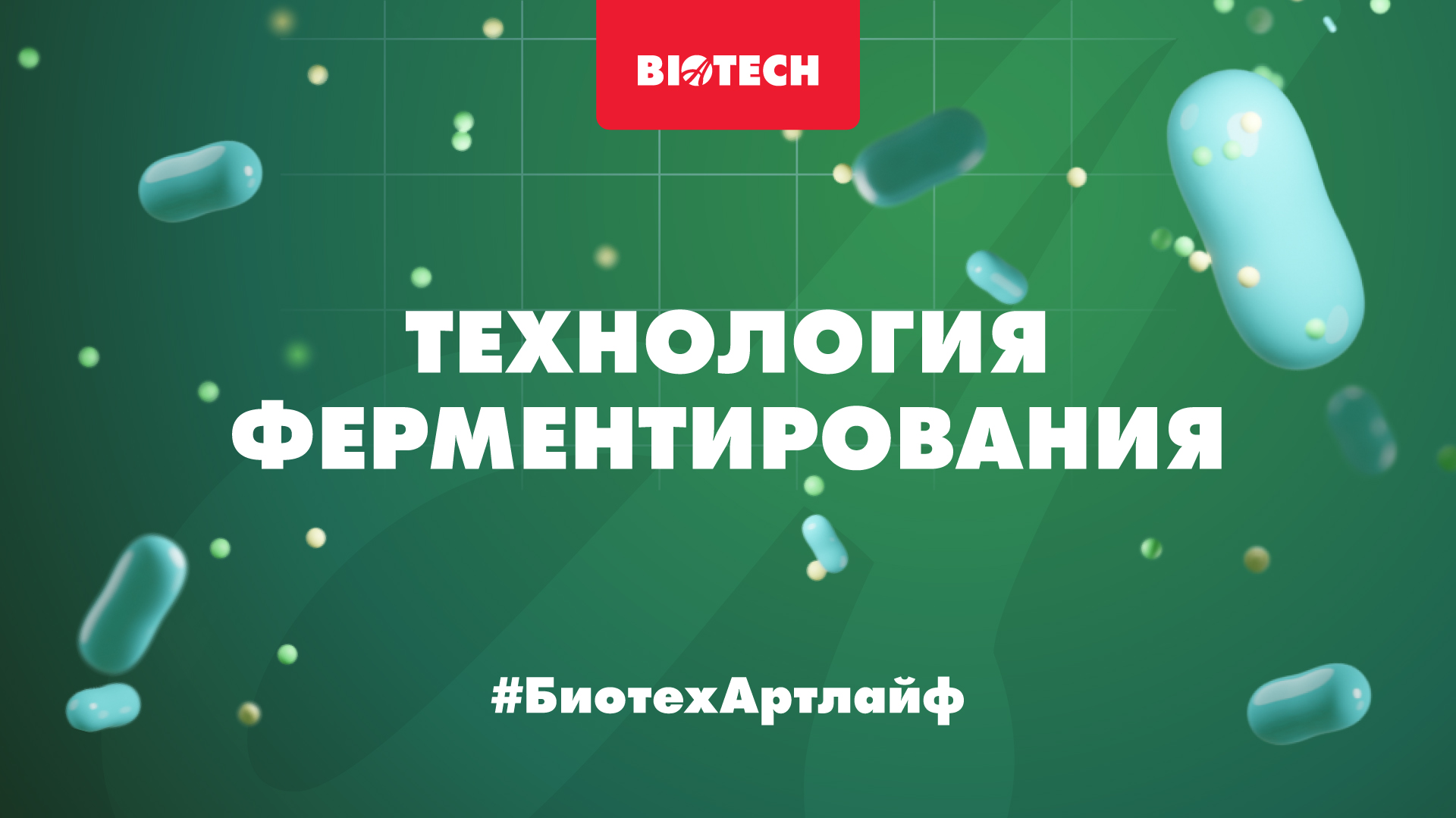 Ферментирование | #БиотехАртлайф | Технологии производства