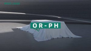Станки лазерной резки листа серии OR-PH OREE LASER №2