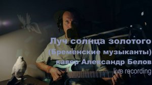 Луч солнца золотого (Бременские музыканты) - включаем баритон