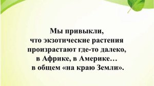 Виртуальная прогулка по лесу "Заходи в зелёный дом, чудеса увидишь в нём!"