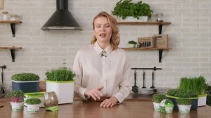 Проращиватель для микрозелени и проростков со сменным дном от компании «Здоровья КЛАД»