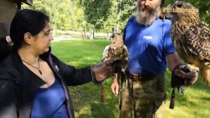 Чем филин отличается от ушастой совы. Показываем наглядно.