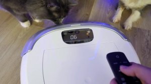 робот пылесос обзор