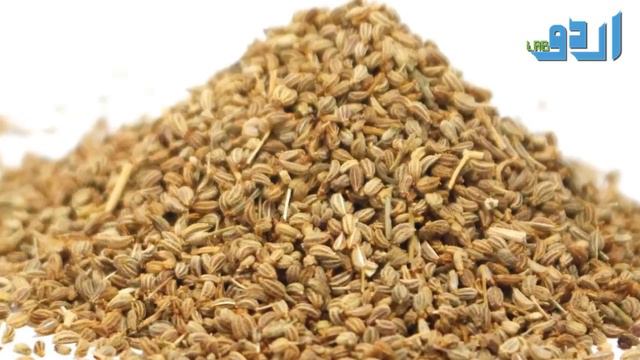 Hazrat Muhammad SAWW Used Black Seeds (Kalonji) With Honey Water Urdu Hindi || Urdu Lab смотреть онлайн