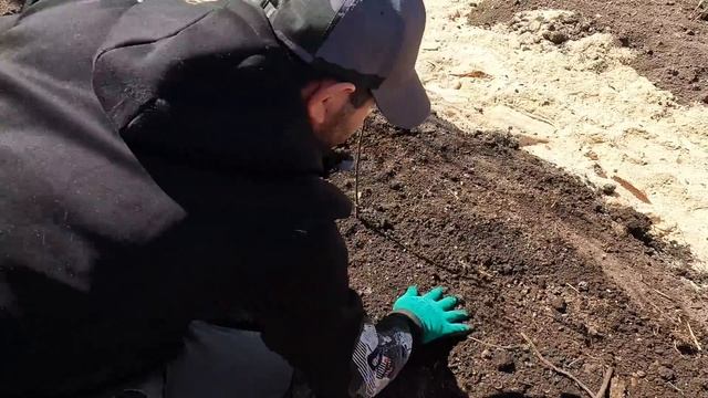 Покупки в магазине. Муж доделывает дорожки.Начали садить мелочь. смотреть онлайн