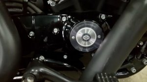 Как Вам ЗВУК глушителей ARLEN NESS на мотоцикле Harley Davidson Sportster 1200