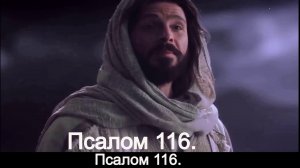 Псалом 116.