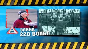 ШАП №3 2 Одуванчики 220 Вольт. Школа Аркадия Паровозова