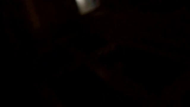 Дворец Покровское-Глебово-Стрешнево