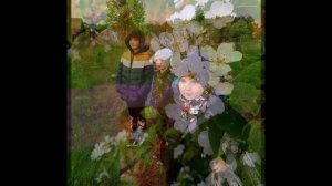 "ВЕСЕННЯЯ СВЕЖЕСТЬ"... (Фото Елены Бежиной (Рязань), музыка - Schiller, Moya Brennan)