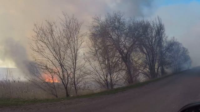 Посев ячменя и гороха. смотреть онлайн