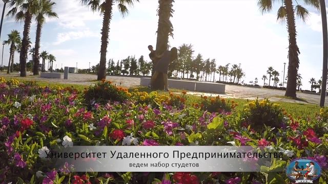 Почему в век высоких технологий  люди до сих пор сидят в офисах, как в 21 веке отвязаться от офиса!