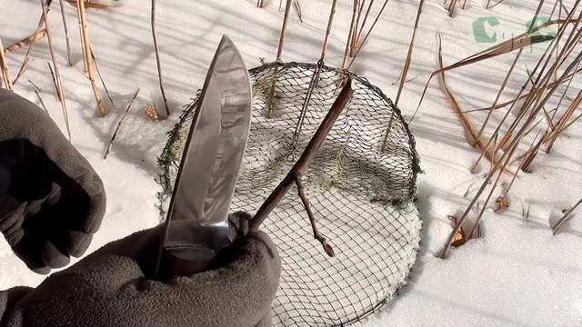 Ловушка для певчих птиц (Лучок) от СУАС смотреть онлайн