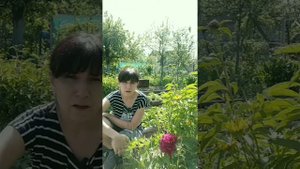 Апельсиновая кожура для растений - подкормка и борьба с вредителями.
