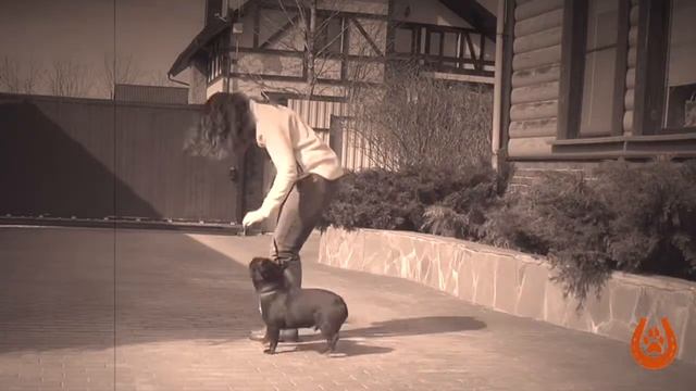 КОМАНДА «РЯДОМ». С ЧЕГО НАЧАТЬ. #1 смотреть онлайн