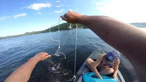 Столько много креветки я ещё не ловил . остров Русский . Приморский Край. Море креветки ,мало пива
