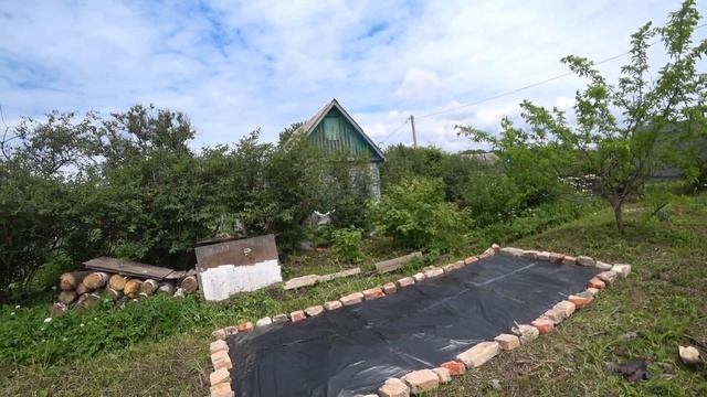 ДАЧА, ПОМИДОРЫ, КЛУБНИКА, ХОСТА смотреть онлайн