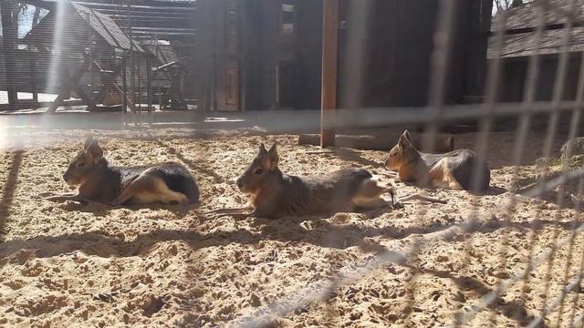 Парк Лога смотреть онлайн