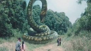 Найдена гигантская змея! Самая большая в истории Земли - Титанобоа