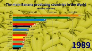Largest banana producers in the world