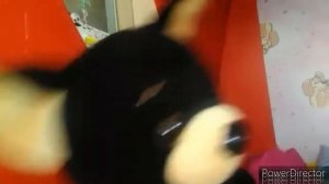 Первое видео и утро собачек Lucky Doggy🤗😍❤