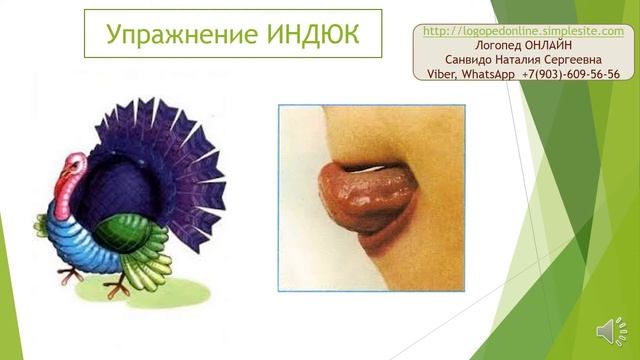 Артикуляционная ГИМНАСТИКА ПО КАРТИНКАМ смотреть онлайн